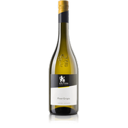 Pinot Grigio 2022