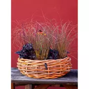 A2 Living Rattan Pflanzkorb – Natürliche Eleganz für dein Zuhause Ø50 cm