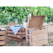 Rheinhessenbox Weinerlebnis