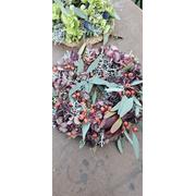 Herbstkranzbinden Workshop 29.10.2026