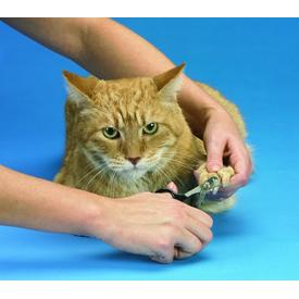 SoftClaws Krallenschutz Krallenkappen Katze Katzen Soft Claws |  | Artikelnummer: 683359732060