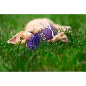 Kickeroo Katzenspielzeug klein Kitten Katzenminze Wrestling Catnip Toy |  | Artikelnummer: 35585453002-2