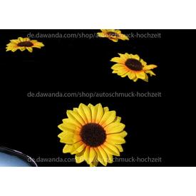 Sonnenblumen Autoshmuck Hochzeit mit Saugnäpfen  |  | Artikelnummer: 105983171