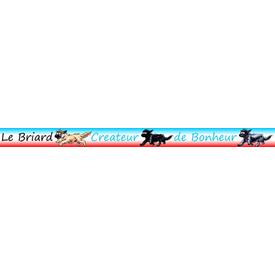 Motivband Briard | Briard | Artikelnummer: B8