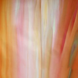 Feinsatin Bettwäsche Yellow Lagoon | 160x210cm | Artikelnummer: 50.242.05