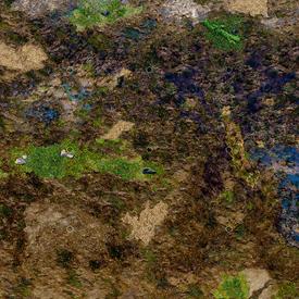 Playmat - Star Wars: Shatterpoint - Muddy Ground | Playmats | Artikelnummer: 5907737300180