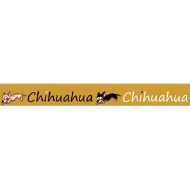 Motivband Chihuahua | Chihuahua | Artikelnummer: B12