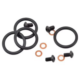 Team Losi 22t 2.0 Bleeder Shock Cap Screw & Washers 4 Pcs TLR5066 |  | Artikelnummer: TLR5066