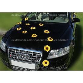 Sonnenblumenkopfe Autodeko Hochzeit mit Saugnäpfen  |  | Artikelnummer: 105982643