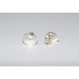 Muschel Ohrstecker midi Silber  |  | Artikelnummer: 101