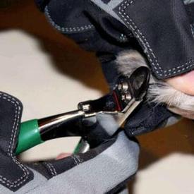 ArmOR Hand Glove Schutzhandschuhe  |  | Artikelnummer: 757894610609 Kopie Kopie
