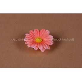 Margeritchen, 25 Stk: Farben - Pfirsich Saugnäpfen  |  | Artikelnummer: 93178631