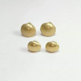 Muschel Ohrstecker midi Gold |  | Artikelnummer: 105
