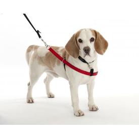 Halti Walkezee Harness Geschirr Hunde Brustgeschirr schwarz rot Trainingsanleitung Hundegeschirr | Wird nicht mehr produziert! | Artikelnummer: 886284725217
