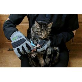 ArmOR Hand Glove Schutzhandschuhe Handschuhe |  | Artikelnummer: 757894610764