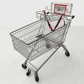 Wanzl ELA155F mit Maxi-Cosi-Ablage | Einkaufswagen | 143 Liter | Artikelnummer: EKW-WZ-G-ELA155F-MAXI ANTHR