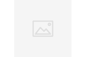 Möbelschuh Businessline |  | Artikelnummer: BL-FF27510