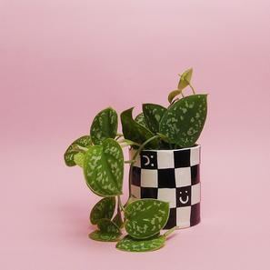 Schachbrett Pot - S |  | Item number: ilikemakingstuff-checkerboard