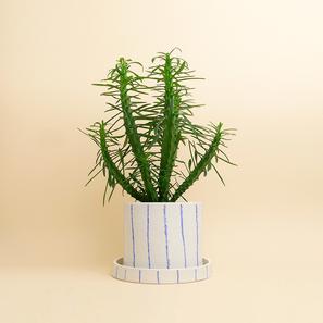 LINES - S |  | Item number: super-ceramics-LINES-S
