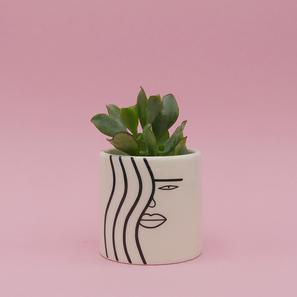 SQUARE Mini Pot |  | Item number: LM-Square Kopie
