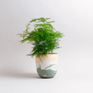 Unique Mix Wave Cup B2 | von MK Studio | Artikelnummer: MK_S_B2