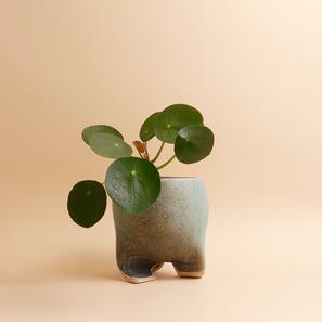 Übertopf #2 |  | Item number: CFC-Planter-2