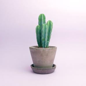 Julie Pot - Ø 12 cm |  | Item number: Julie Pot 12 - grau