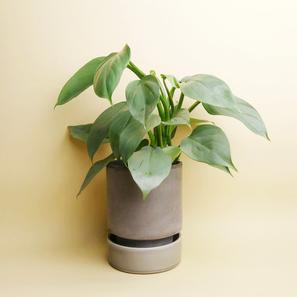 Hoff Pot - Set - Ø 14 cm |  | Item number: hoff-pot-M-graugrau-bergs-potter