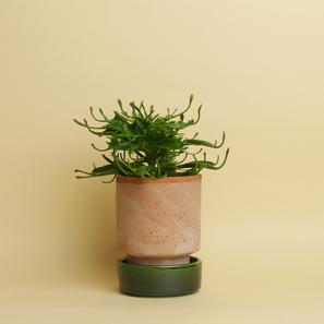 Hoff Pot Set - Größe S |  | Item number: hoff-pot-s-rosagruen