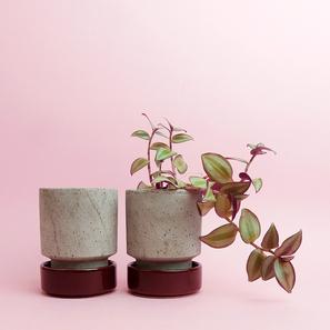 Hoff Pot - Set - Ø 8 cm |  | Item number: hoff-pot-s8-grau-dunkelrot-bergs-potter