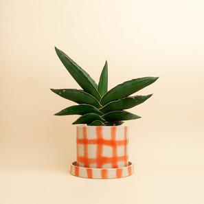BRUSHED GRID - S |  | Item number: super-ceramics-BRUSHEDGRID-S 