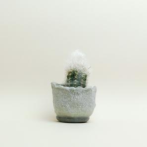 Eggshell Re-Planter #6 |  | Item number: eggshell-planter-6