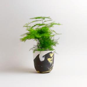 Unique Mix Wave Cup C3 | von MK Studio | Artikelnummer: MK_S_C3