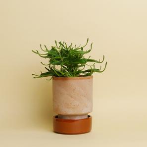Hoff Pot - Set - Ø 8 cm |  | Item number: hoff-pot-s-rosabraun-bergs-potter