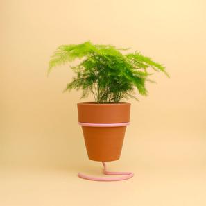 Wire Plant Pot  |  | Item number: Wire Plant Pot rosa