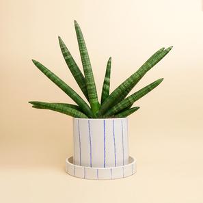 LINES - M |  | Item number: super-ceramics-LINES-M