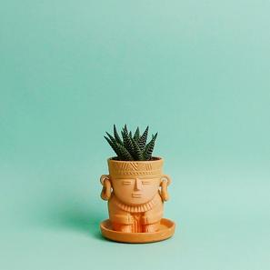 Indio Man - XS |  | Item number: ColoBoho-IndioXS