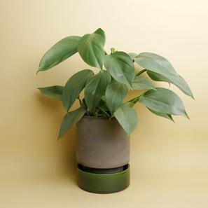 Hoff Pot - Set - Ø 14 cm |  | Item number: hoff-pot-M-graugruen-bergs-potter