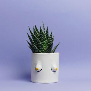Smiley Boob Pot  |  | Item number: ilikemakingstuff-boob-smiley