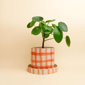 BRUSHED GRID - M |  | Item number: super-ceramics-BRUSHEDGRID-M