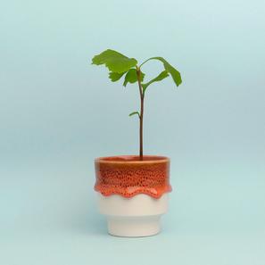 Porzellantopf Orange/Rot #1 |  | Item number: LH-rot-1