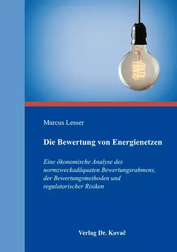 Marcus Lesser: Die Bewertung von Energienetzen