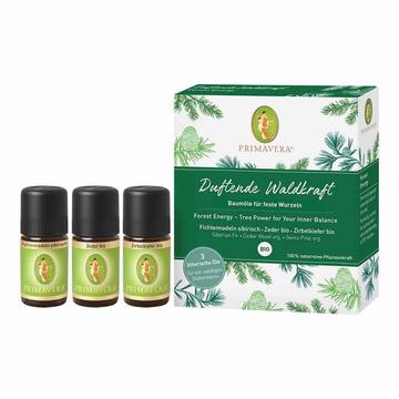 Primavera Set Duftende Waldkraft