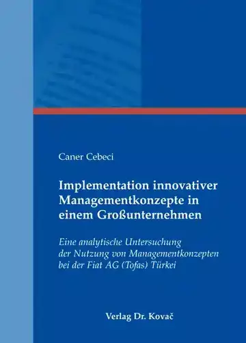 Caner Cebeci: Implementation innovativer Managementkonzepte in einem Großunternehmen