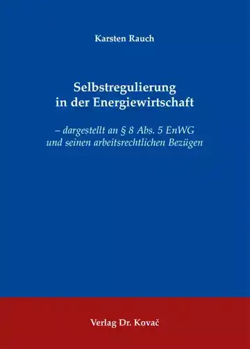 Karsten Rauch: Selbstregulierung in der Energiewirtschaft