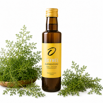 Oxymel Aufrichtung- alkoholfreier Pflanzenauszug 