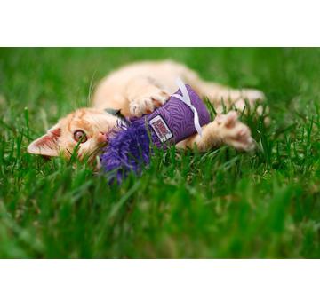 Kickeroo Katzenspielzeug klein Kitten Katzenminze Wrestling Catnip Toy |  | Artikelnummer: 35585453002-2
