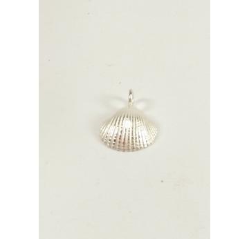 Muschel Anhänger midi Silber |  | Artikelnummer: 102