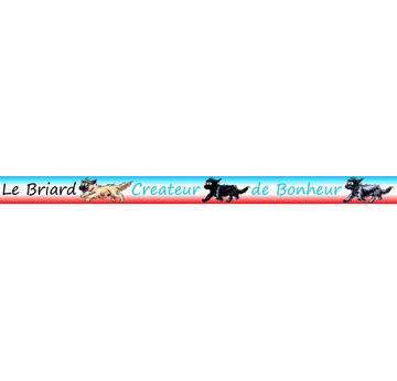 Motivband Briard | Briard | Artikelnummer: B8
