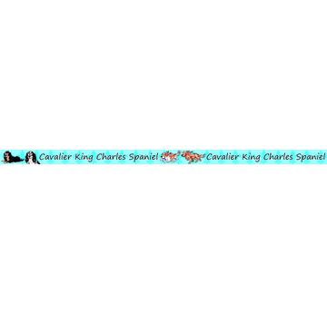 Motivband Cavalier | Cavalier King Charles Spaniel | Artikelnummer: B11